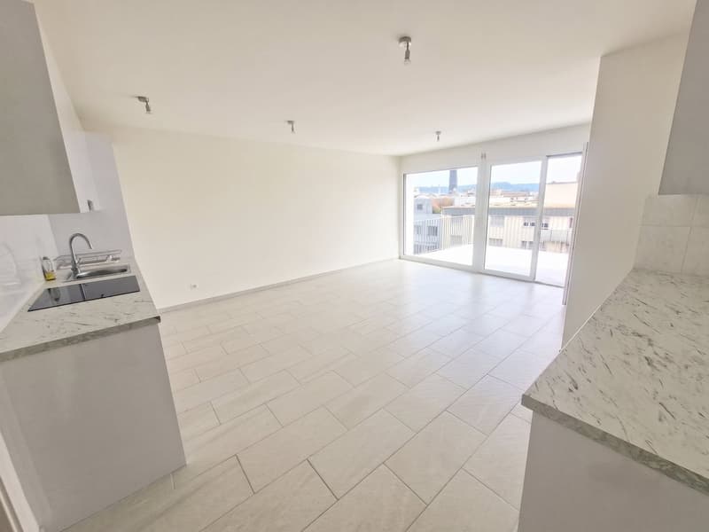 Helle 5-Zimmer Attikawohnung mit Blick in Basel zur Miete (3)