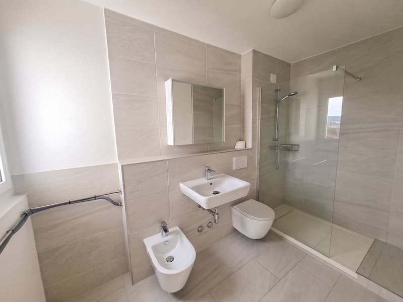 Helle 5-Zimmer Attikawohnung mit Blick in Basel zur Miete (5)