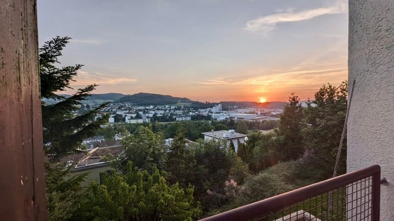 Fantastische Aussicht mit grosszügigem Garten (2)