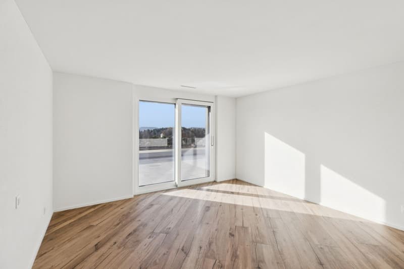 JURA VIEW - Architektur, Technik und Wohnqualität auf höchstem Niveau (6)