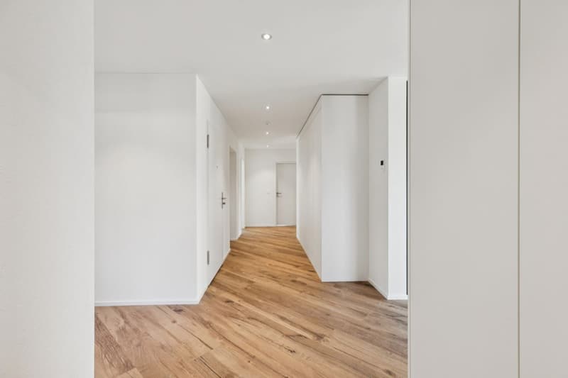 JURA VIEW - Architektur, Technik und Wohnqualität auf höchstem Niveau (3)