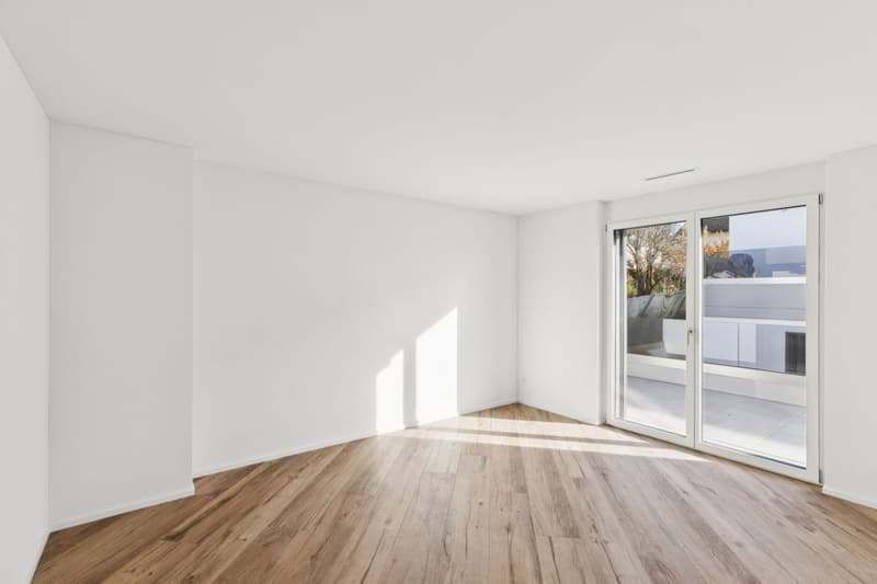 JURA VIEW - Architektur, Technik und Wohnqualität auf höchstem Niveau (4)