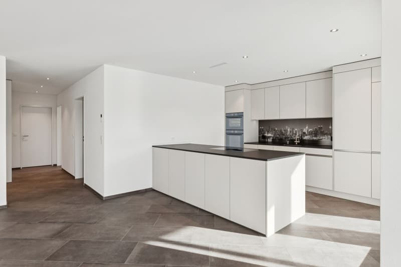 JURA VIEW - Architektur, Technik und Wohnqualität auf höchstem Niveau (10)