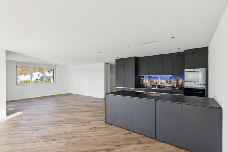 JURA VIEW - Architektur, Technik und Wohnqualität auf höchstem Niveau (11)