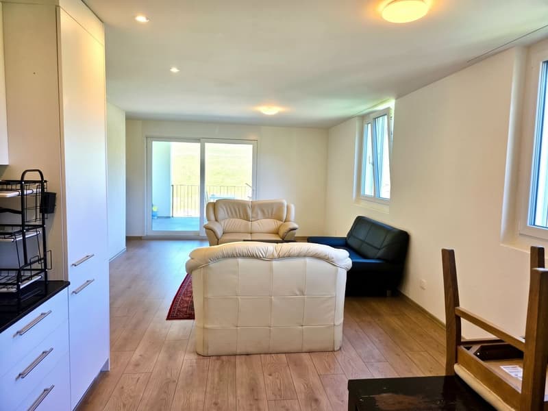 Neuwertig mit grossem Balkon, unverbaubarer Aussicht (4)