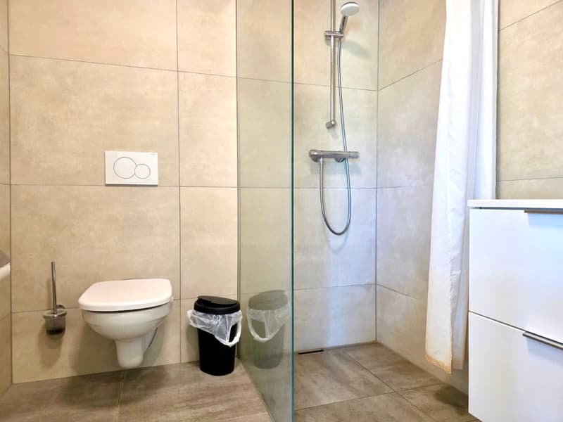 Neuwertig mit grossem Balkon, unverbaubarer Aussicht (6)