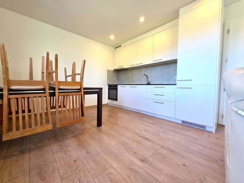 Neuwertig mit grossem Balkon, unverbaubarer Aussicht (3)