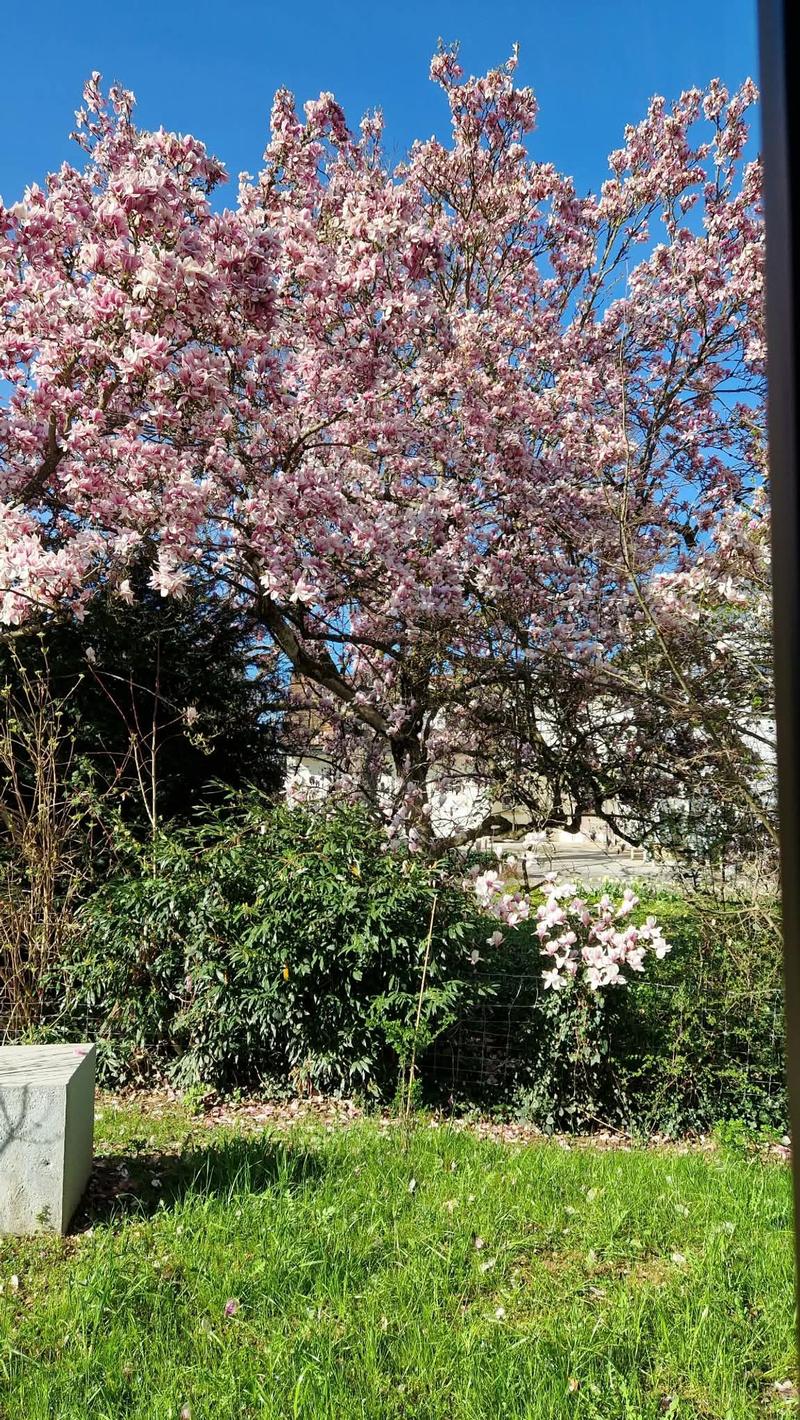 Modern mit Garten und Minergie-Zertifikat (12)