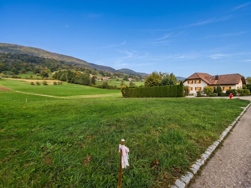 Attraktives Baugrundstück (700 m²) mit unverbaubarem Bergpanorama (2)