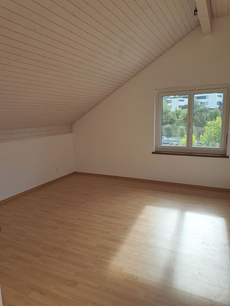 Zweistöckiges Raumwunder in Bremgarten: 6.5-Zimmer-Maisonette mit beheiztem Pavillon & Bastelraum (8)