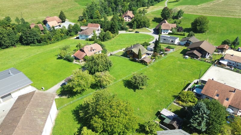 multiple houses in a rural setting, surrounded by green grass and trees, driveways connecting the houses, solar panels on some houses