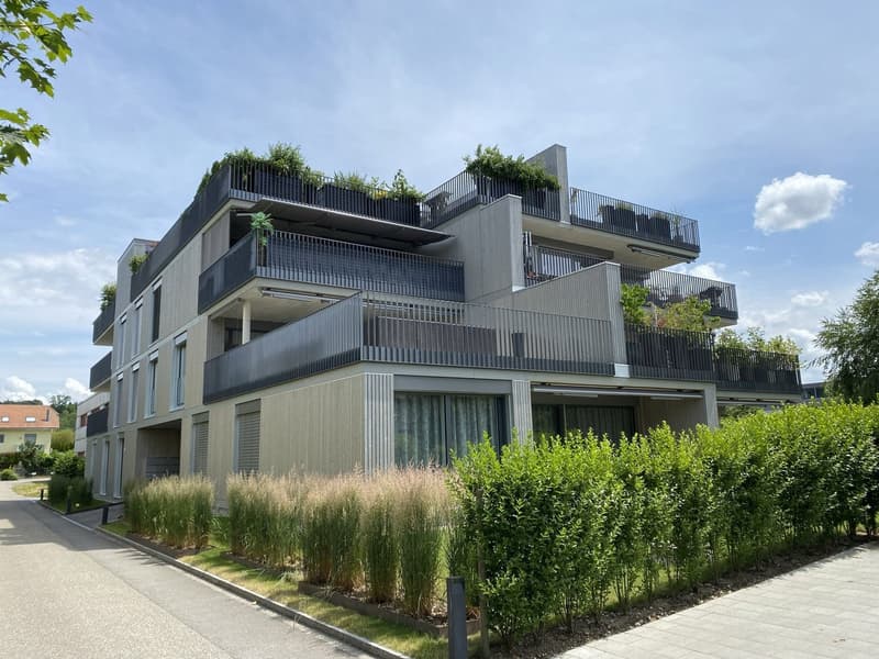 Moderne 3.5-Zimmer-Wohnung mit 69 m² gedecktem Balkon – Les Terrasses, Oftringen (1)