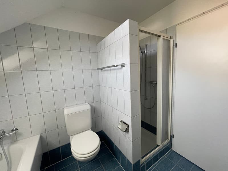 Charmante Dachwohnung an ruhiger Lage mit Balkon und Hobbyraum (10)