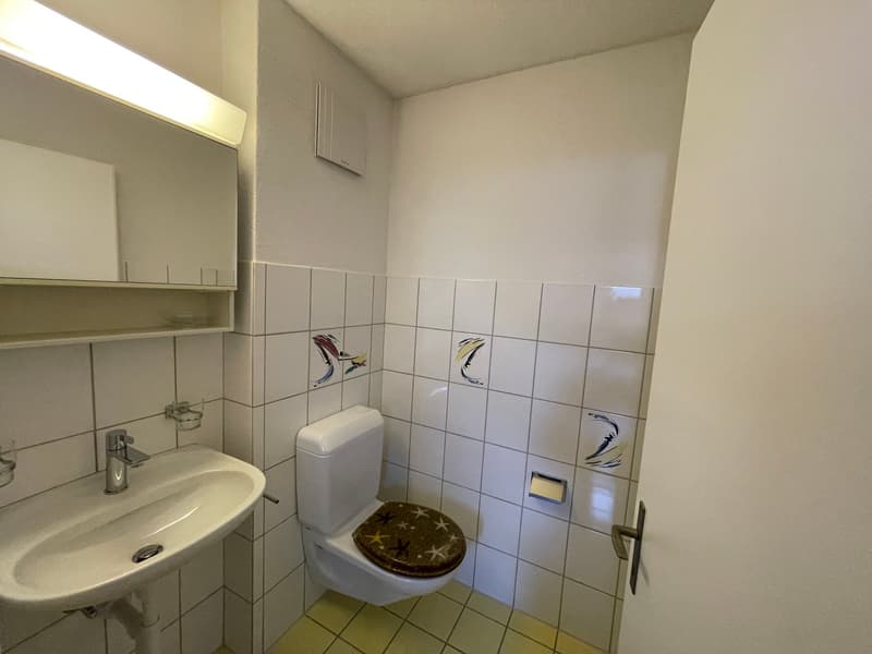 Charmante Dachwohnung an ruhiger Lage mit Balkon und Hobbyraum (11)