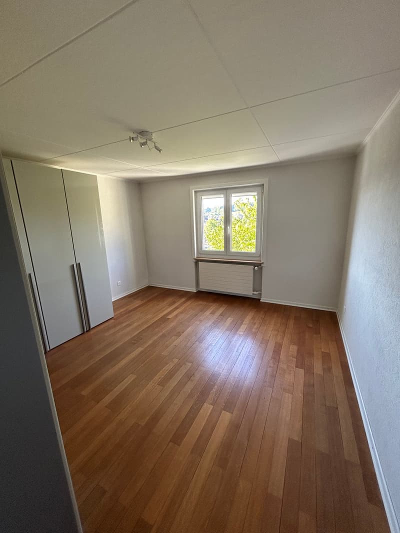 Gemütliches Einfamilienhaus mit Seesicht an ruhiger Lage in Beinwil am See (13)