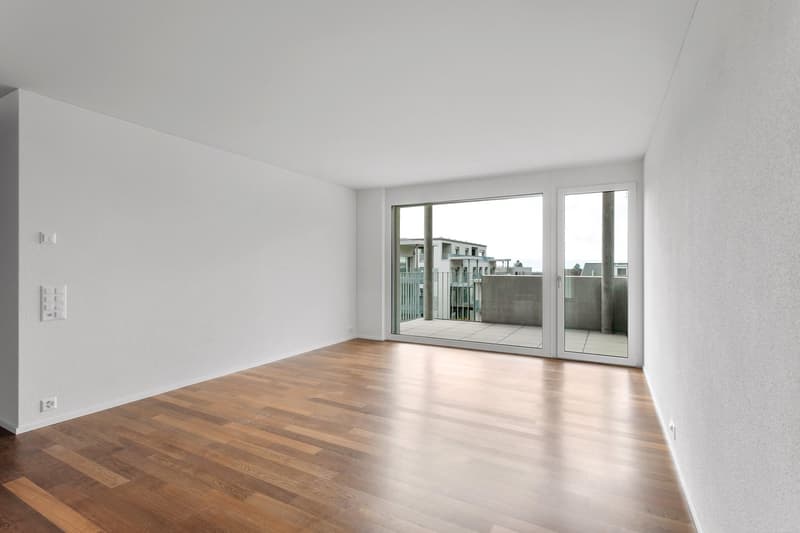 4.5 Zimmer-Wohnung an bester Lage (8)