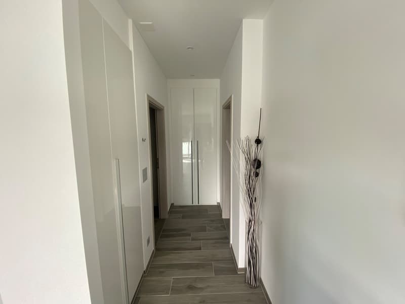 Empty hallway with white walls, tiled floor, glass doors, and a decorative plant in a vase.
