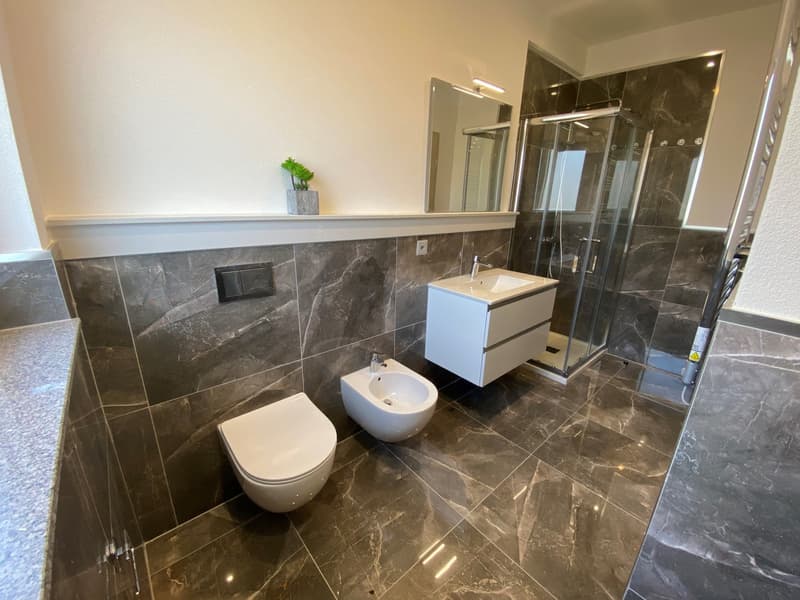 modern bathroom with white toilet, bidet, sink, and glass shower