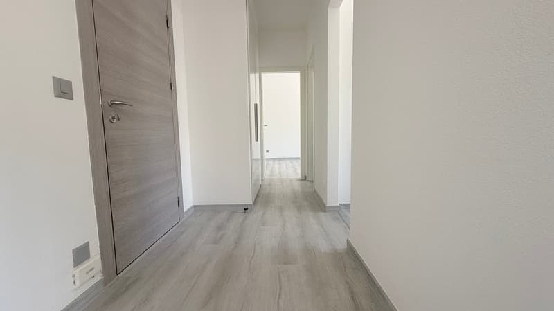 FINO A 3 MESI GRATUITI - 2.5 locali ristrutturato a Balerna (3)