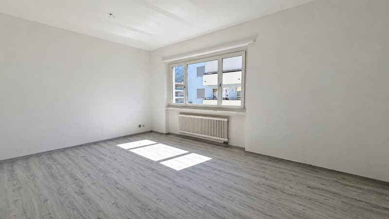 1.5 locali ristrutturato e moderno a Lugano (2)