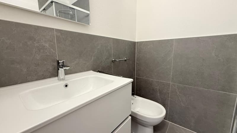 1.5 locali moderno e ristrutturato a Coldrerio (3)