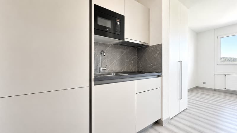 1.5 locali moderno e ristrutturato a Coldrerio (1)