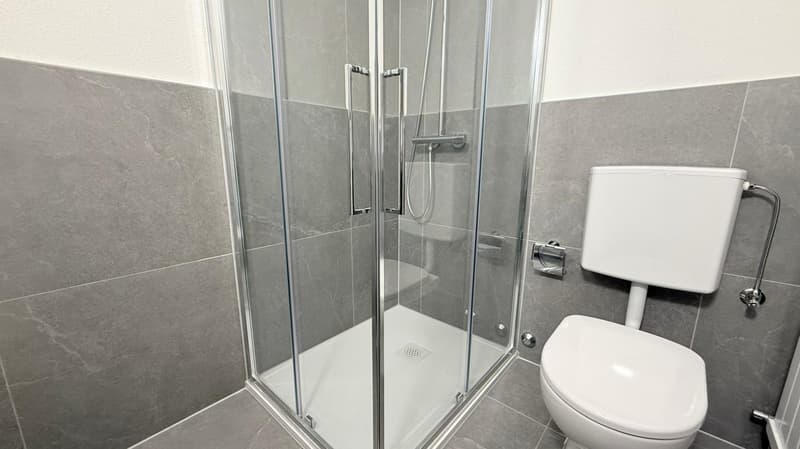 1.5 locali moderno e ristrutturato a Coldrerio (4)