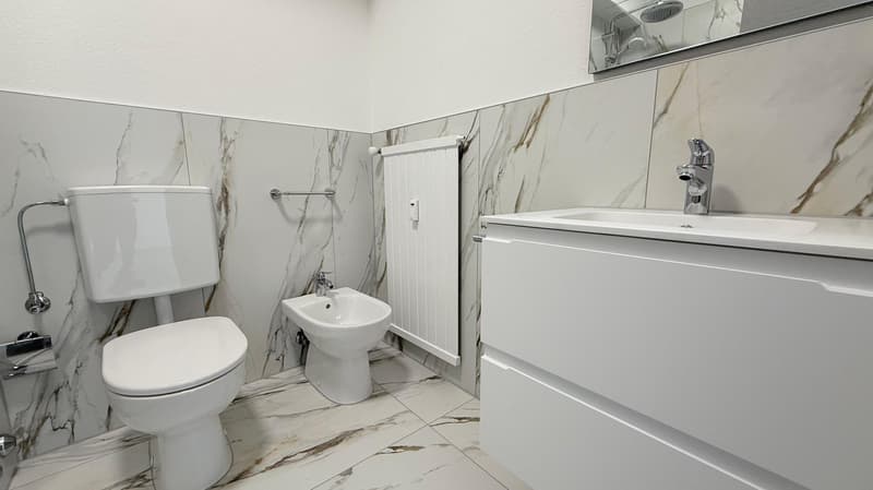 4.5 locali ristrutturato in affitto a Coldrerio (7)