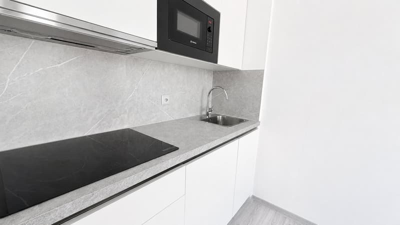 FINO 3 MESI GRATUITI - 1.5 locali ristrutturato e moderno a Lugano (1)