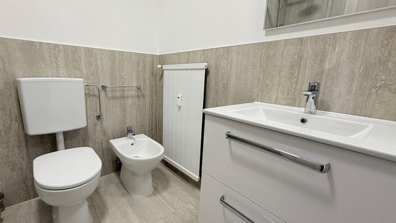 5.5 locali ristrutturato in affitto a Coldrerio (10)