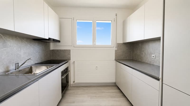 4.5 locali ristrutturato in affitto a Coldrerio (1)