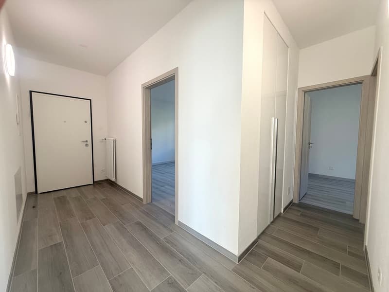 3.5 locali nuovo a Vacallo (6)
