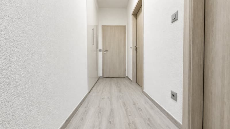 FINO A 2 MESI GRATUITI - 3.5 Locali a Lugano con piscina (3)