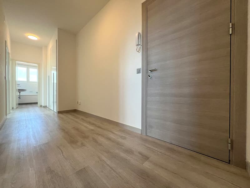 Moderno 3.5 locali completamente ristrutturato a Chiasso (3)