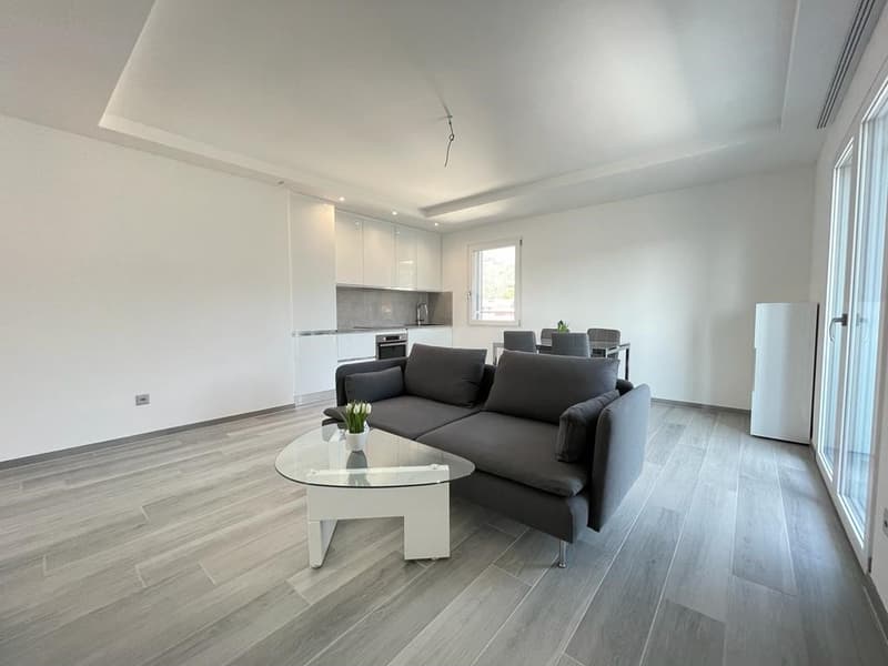 2.5 LOCALI IN AFFITTO A MENDRISIO – ZONA CENTRALE (2)