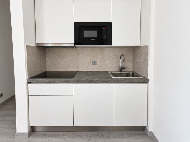 Appartamento 1.5 locali completamente ristrutturato a Lugano – ZONA CENTRALE (1)
