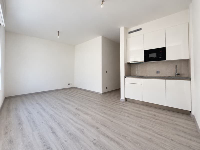 Appartamento 1.5 locali completamente ristrutturato a Lugano – ZONA CENTRALE (2)