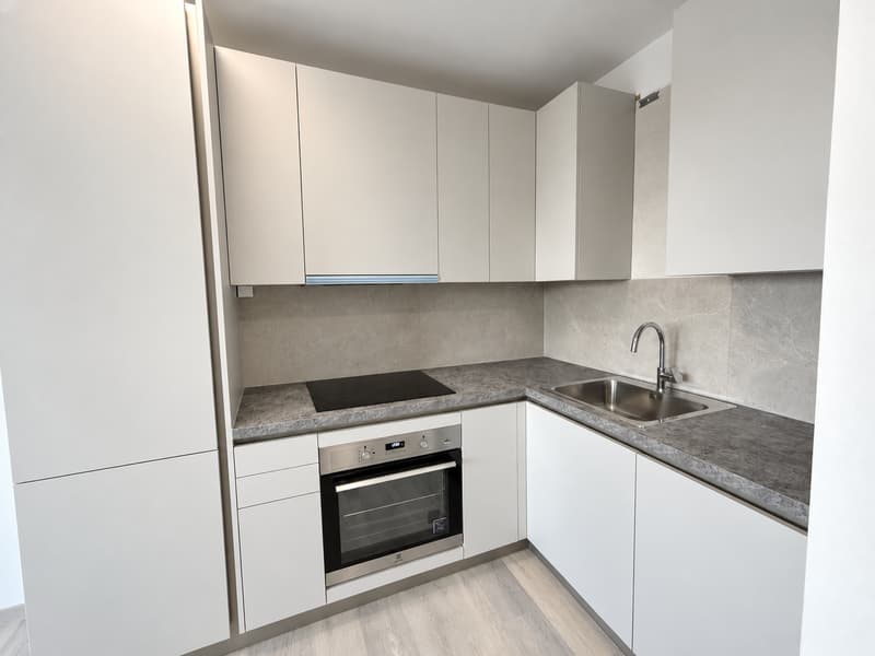 2.5 locali moderno e ristrutturato a Coldrerio (1)