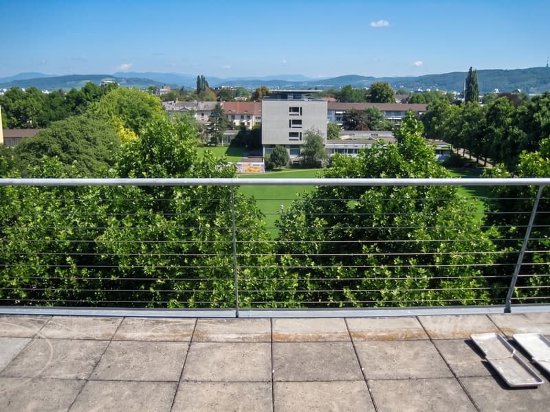Blick über Basel mit umliegendem Grün und Bergen am Horizont.