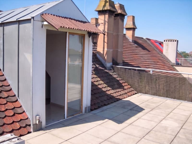 Geräumige Dachterrasse mit Zugang und Ziegeldachansicht.