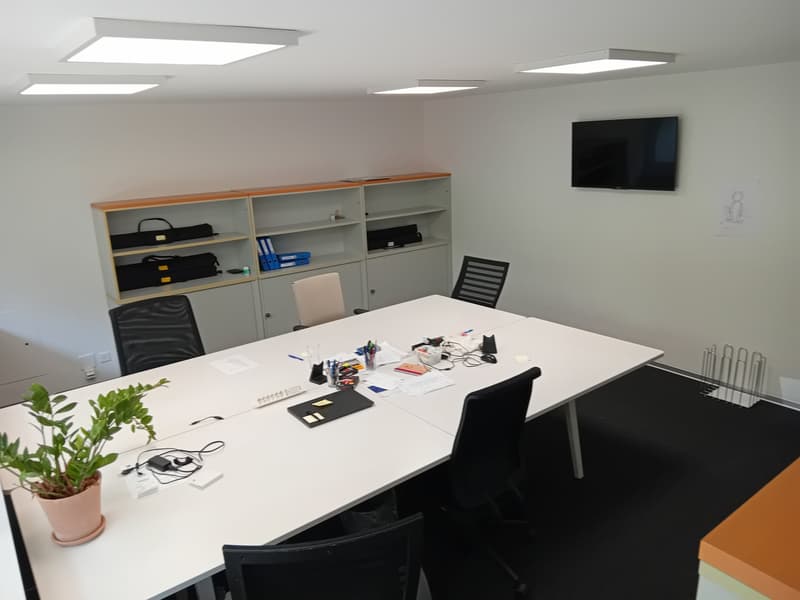 A conference room with a long white table, black chairs, a shelf with files, a TV on the wall, and a potted plant on the table.