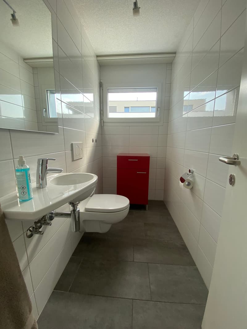 Helle 4.5-Zimmer-Wohnung mit Balkon und schöner Aussicht in Wangen an der Aare (11)