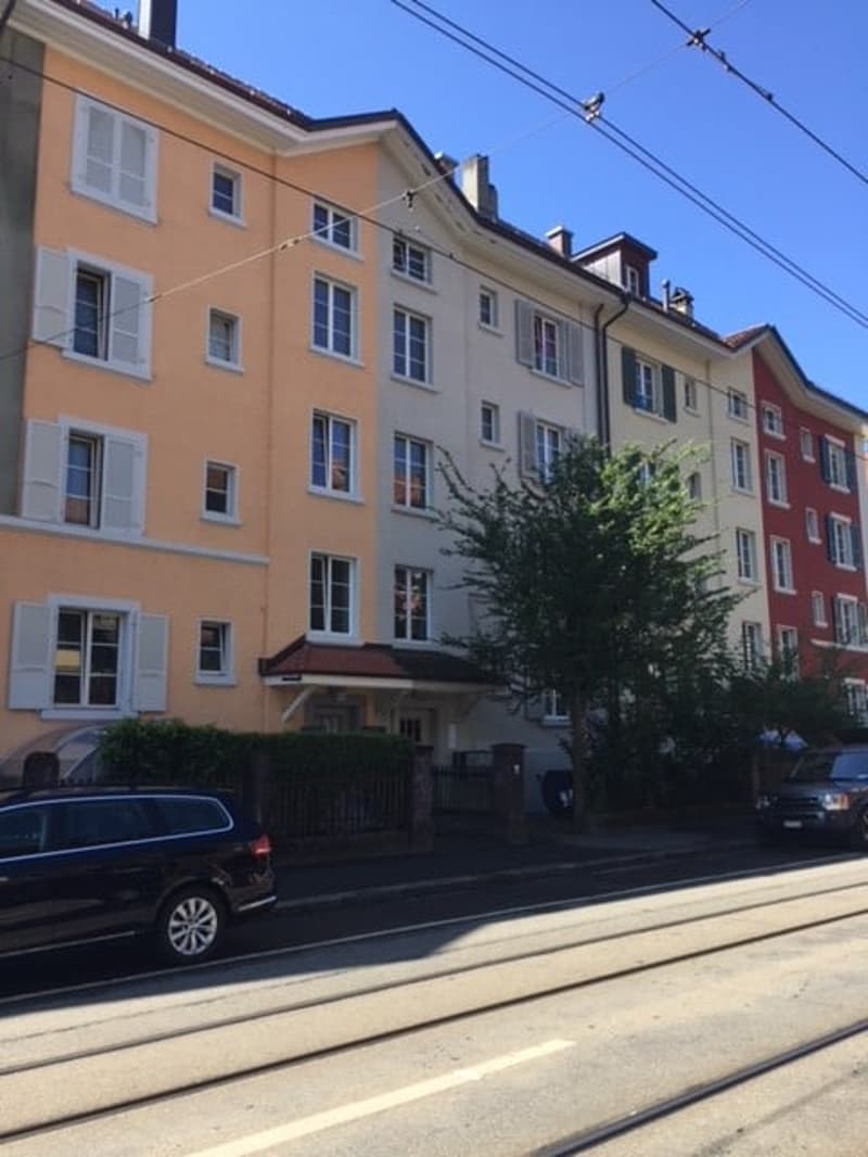 Charmante 1-Zimmer-Dachwohnung in Bern-Breitenrain (1)