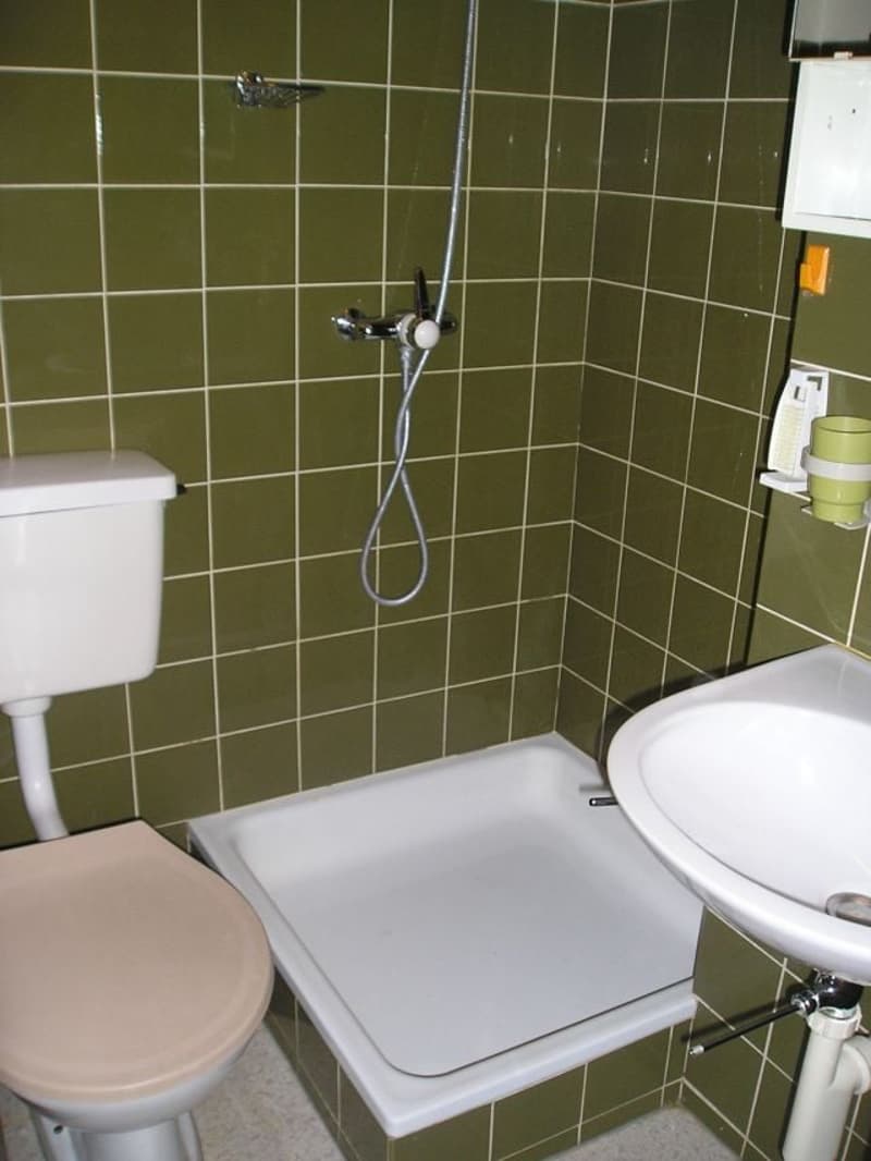 Charmante 1-Zimmer-Dachwohnung in Bern-Breitenrain (3)