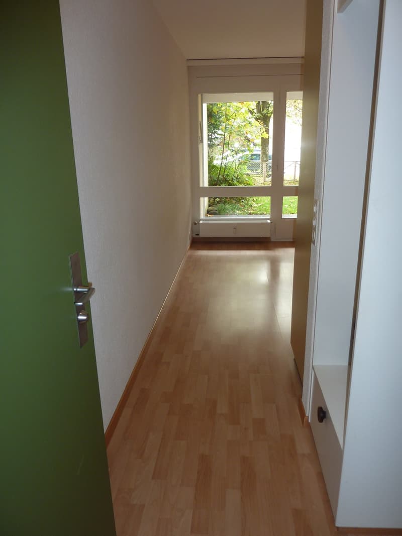 Studio an ruhiger Lage mit Balkon in Mühleberg (7)