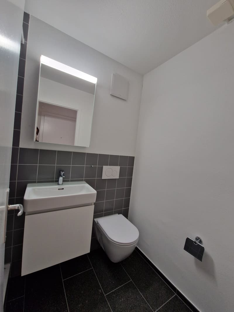 Modernes Studio mit Balkon an der Holligenstrasse 74 in Bern (3)