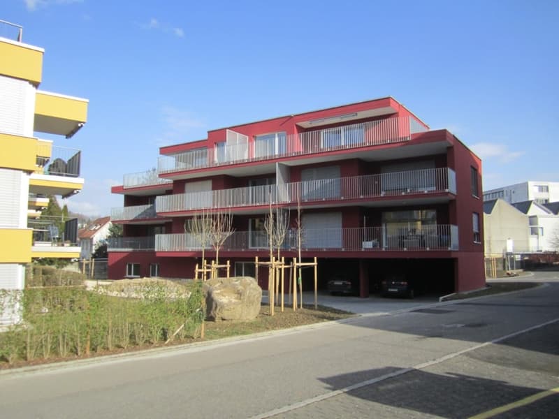 Espace commercial ou d'atelier moderne à Reinach AG (1)