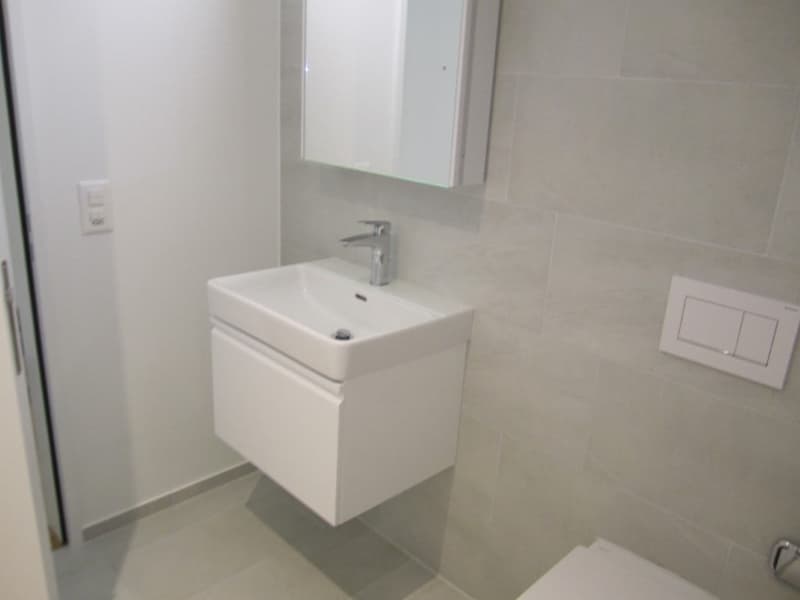 Espace commercial ou d'atelier moderne à Reinach AG (3)