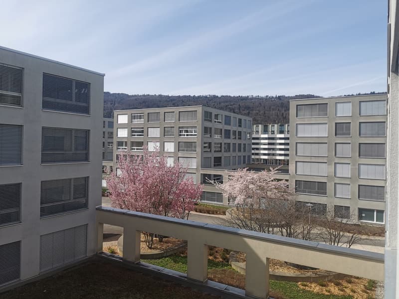 Modernes Studio mit Loggia in Biel – ab Oktober 2026 verfügbar (1)