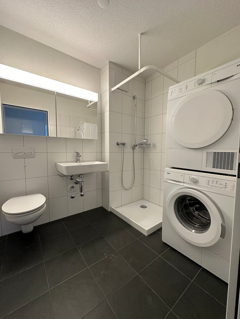 Moderne 2-Zimmer-Wohnung in Olten (5)